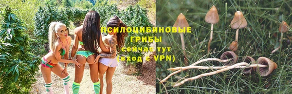 дживик Абдулино