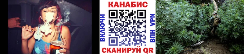 Канабис план  Канск 